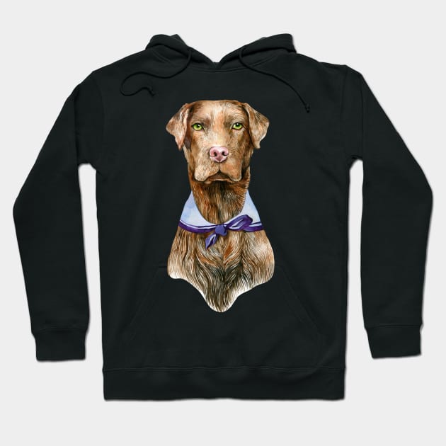 Chocolate lab Hoodie by argiropulo